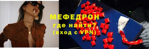 индика Новозыбков