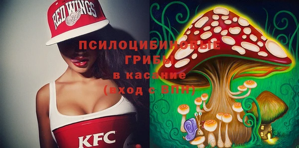 метамфетамин Алексеевка