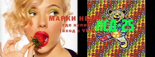 амф Новодвинск