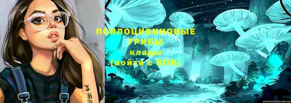 индика Новокубанск