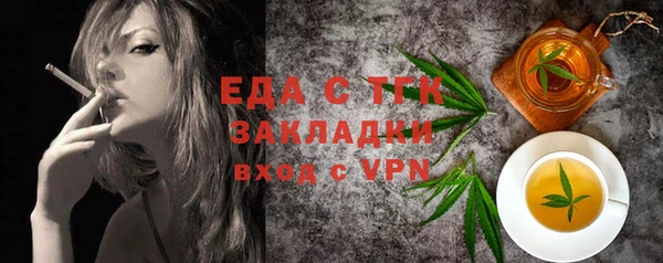 индика Новозыбков